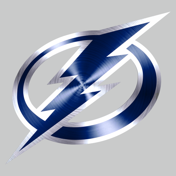 Tampa Bay Lightning Stainless steel logo vinyl decal